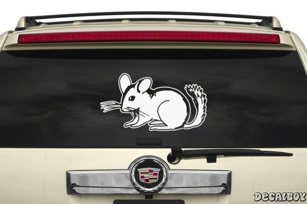 Decal Chinchilla