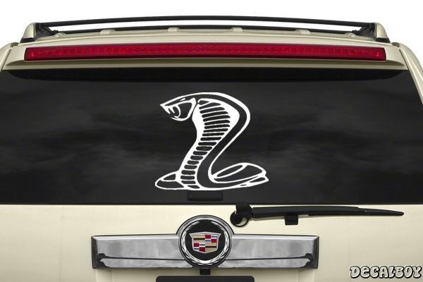 Decal Cobra