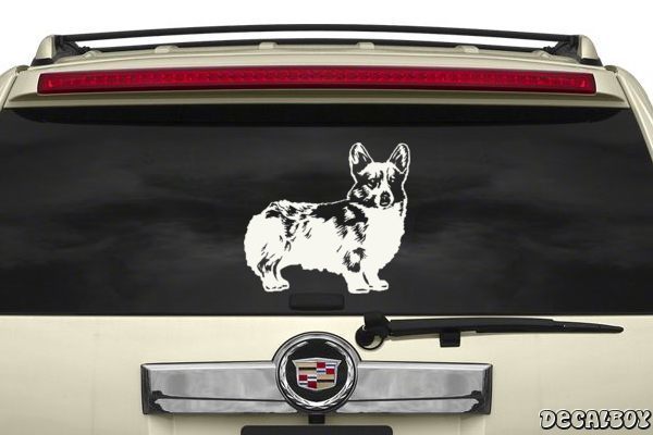 Decal Corgi