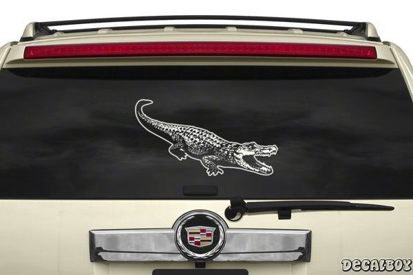 Decal Crocodile