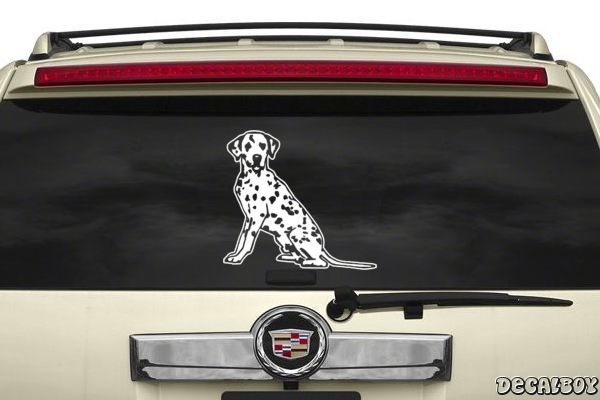 Decal Dalmatian