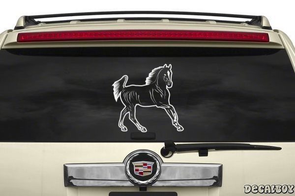 Decal Horses_Mustangs