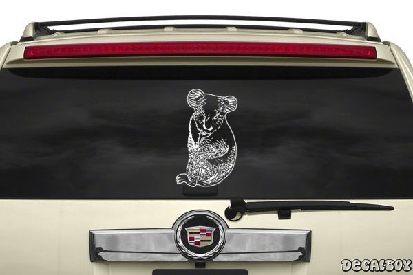 Decal Koala Bears