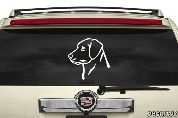 Decal Labrador