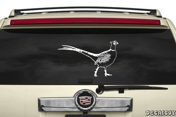 Decal Pheasant