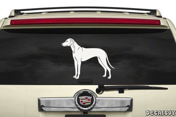 Decal Ridgeback