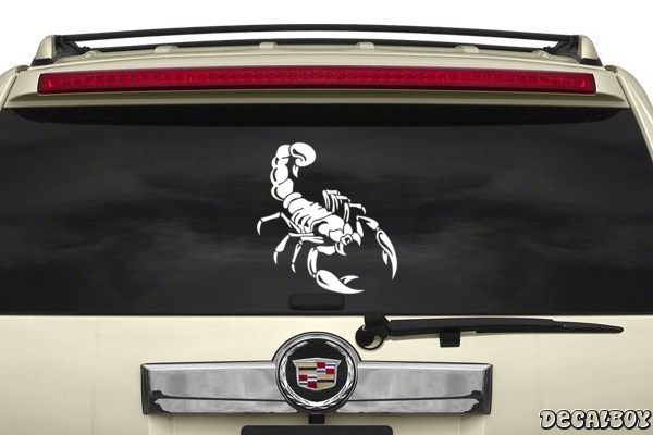 Decal Scorpion