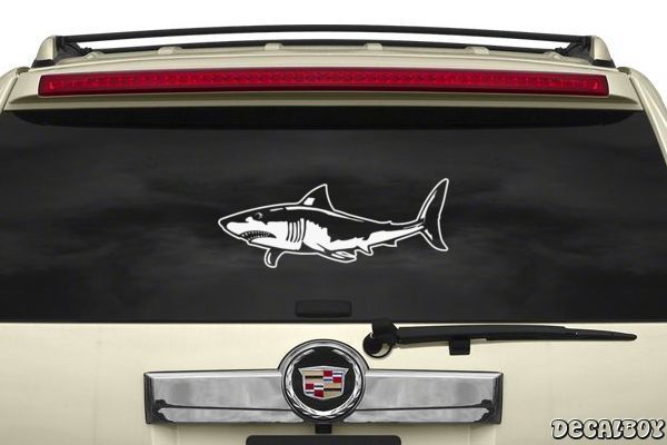 Decal Sharks