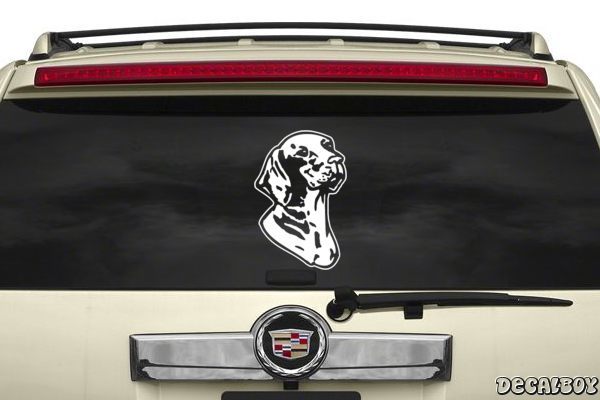 Decal Vizsla