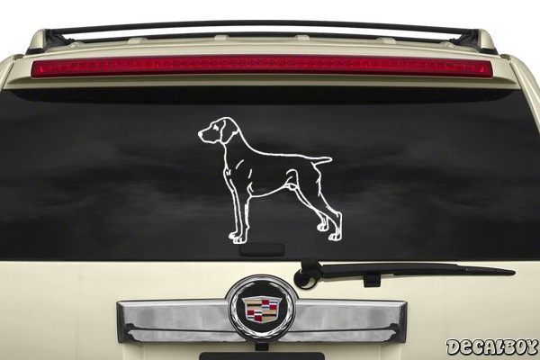 Decal Weimaraner