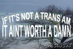 If Its Not A Trans Am It Aint Worth A Damn Vinyl Die-cut Decal