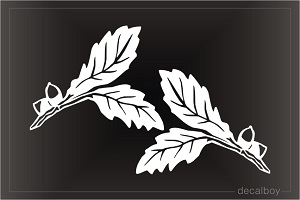 Oak Leaf Acorns Decal