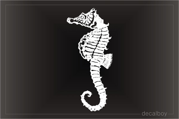 Seahorse 948 Car Window Decal