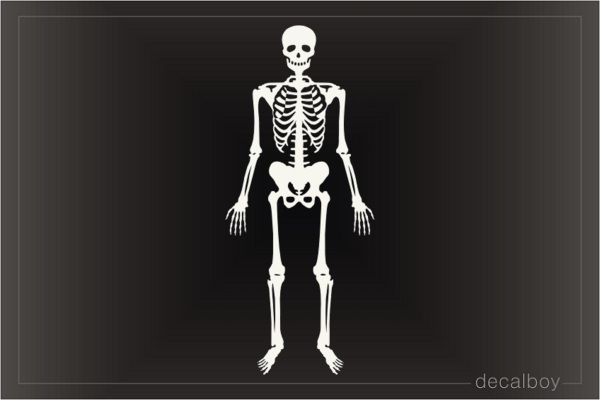 Skeleton Decals & Stickers | Decalboy