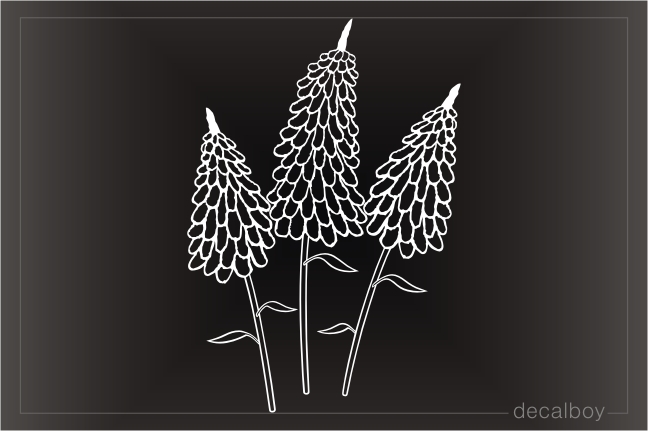 Hot Poker Flower Decal