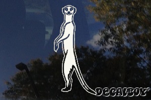 Meerkat Suricata Suricatta Window Decal