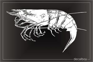 Prawn Shrimp Window Decal