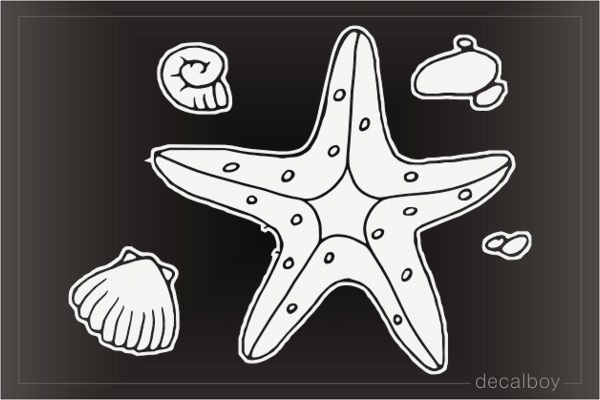 Starfish 776 Car Window Decal