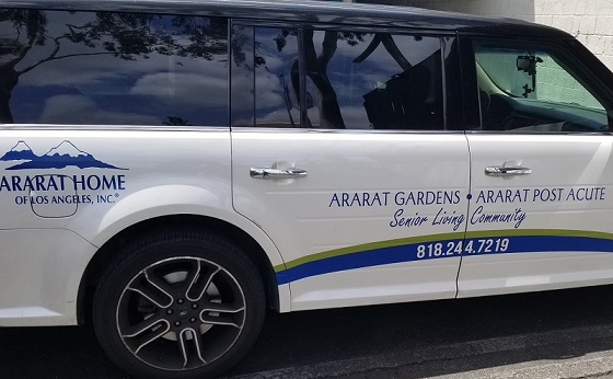 courtesy vehicle decals